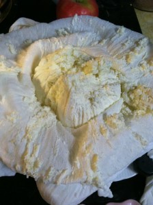 Good 'ol farmer's market cheese.