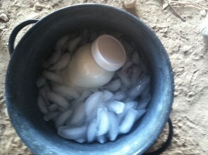 Sticking the milk in the ice bucket within a few minutes helps keep the milk fresher for longer later in the fridge.