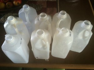 Old Milk Jugs